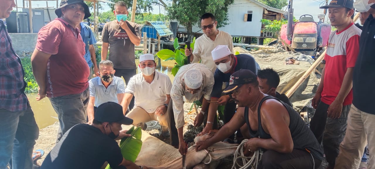 Kadin Batu Bara Sembelih 3 Ekor Sapi Sebagai Qurban INCARKASUS