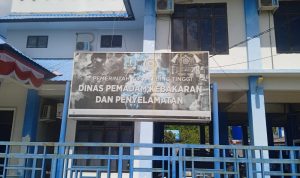 IMG-20251029-WA0051(1)