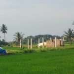 IMG-20260807-WA0031